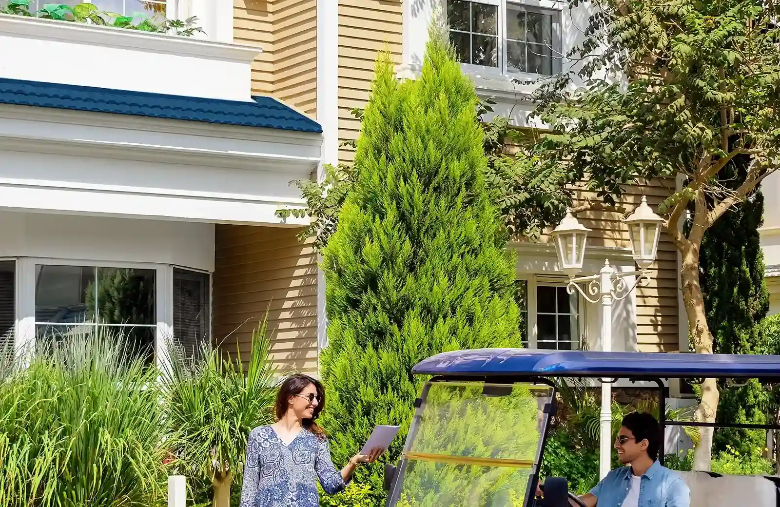 Mountain View 2 Cover