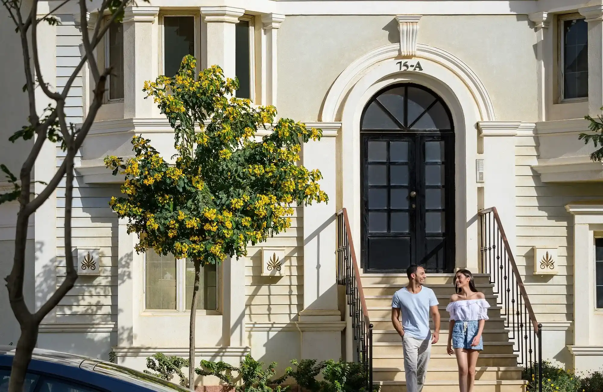 Mountain View Hyde Park Cover